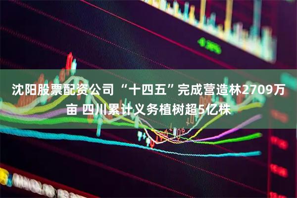 沈阳股票配资公司 “十四五”完成营造林2709万亩 四川累计义务植树超5亿株