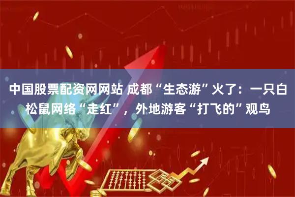 中国股票配资网网站 成都“生态游”火了：一只白松鼠网络“走红”，外地游客“打飞的”观鸟